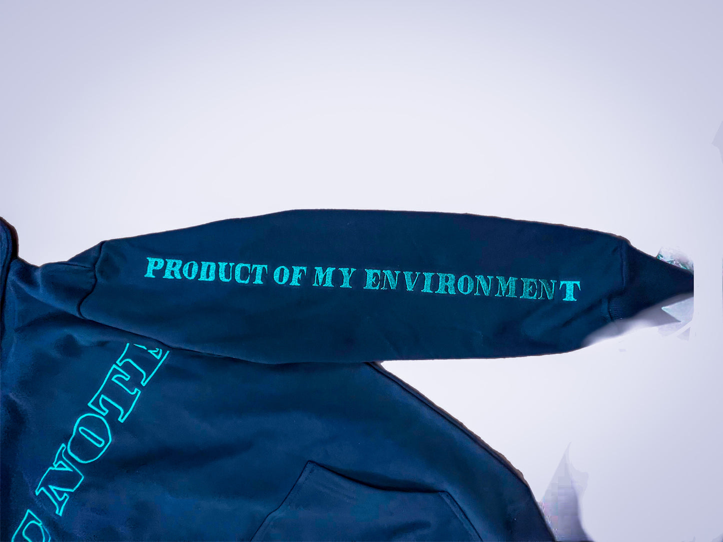 Product Of My Environment Hoodie
